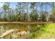 View of a picturesque pond framed by tall trees, reflecting a serene and private environment at 4324 Old Lewis Farm Rd, Raleigh, NC 27604