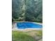 Backyard in ground pool surrounded by a mature tree line for privacy at 4324 Old Lewis Farm Rd, Raleigh, NC 27604