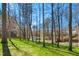 Secluded backyard oasis with mature trees providing ample shade and privacy, perfect for relaxation and enjoyment at 102 Battenburg Ct, Cary, NC 27519