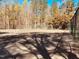 Community tennis court surrounded by trees and featuring a tall fence at 109 Killam Ct # La, Cary, NC 27513