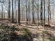 View of wooded backyard with small storage shed and mature trees at 11619 John Allen Road Rd, Raleigh, NC 27614