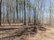Scenic wooded lot with mature trees and natural undergrowth at 11619 John Allen Road Rd, Raleigh, NC 27614