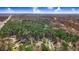 Expansive aerial view showcasing homes nestled among trees and forests, highlighting a blend of residential and natural settings at 129 Bennett Pl, Clayton, NC 27527
