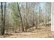 A wooded backyard landscape providing a natural and serene environment to enjoy the beauty of nature at 244 Victor Ct, Garner, NC 27529