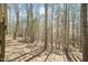 A wooded backyard offering privacy and natural beauty, great for relaxing and exploring at 244 Victor Ct, Garner, NC 27529