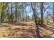 Expansive backyard featuring mature trees offering ample shade and privacy for outdoor enjoyment at 417 Baker St, Nashville, NC 27856