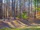 View of a partially wooded property lot in a lush setting at 63 Pennington Cir, Chapel Hill, NC 27517