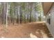 View of the property's wooded backyard at 709 Conifer Ct, Creedmoor, NC 27522