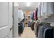 This walk-in closet features shelving units and hanging rods for clothing storage at 804 Cambridge Hall Loop, Apex, NC 27539