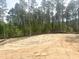 Expansive lot offering a serene backdrop of towering pine trees and natural landscape at 266 Golfview Ave, Benson, NC 27504