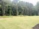 Large, freshly sodded backyard with a lush lawn and a backdrop of tall, mature trees at 283 Golfview Avenue, Benson, NC 27504
