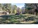 Expansive backyard showcasing sheds at 408 Rand Rd, Raleigh, NC 27603