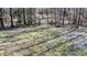 Overgrown backyard with dead grass and lots of trees around the perimeter of the lot at 408 Rand Rd, Raleigh, NC 27603