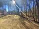 Backyard featuring green grass, trees, and a shed on a sunny day at 4601 Pemberton Dr, Raleigh, NC 27609
