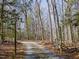 Driveway leading to a house through the woods, with gate visible on the right at 471 Deer Run, Pittsboro, NC 27312