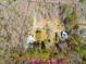 Aerial shot of land boundary showing the home, driveway and outbuilding surrounded by woods at 471 Deer Run, Pittsboro, NC 27312