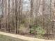 Backyard scene with natural trees and grass growing at 700 Treviso Ln, Apex, NC 27502