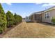 A backyard featuring a screened-in porch and a row of tall shrubs along the back fence at 78 Radcliffe Ct, Clayton, NC 27527