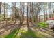 Lush backyard with mature trees providing shade and privacy to enjoy outdoor living at 11808 Black Horse Run, Raleigh, NC 27613