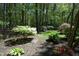 A backyard with well-kept landscaping featuring trees, plants, shrubs, and mulch at 21 Wedgewood Rd, Chapel Hill, NC 27514