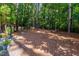 Private backyard with mature trees and plantings, offering a serene outdoor space at 2739 Elderberry Ln, Apex, NC 27539