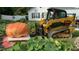 A truly giant pumpkin is moved by a yellow skid steer loader with a residential home in the background at 5437 Grasshopper Rd, Raleigh, NC 27610