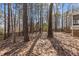 A natural backyard featuring mature trees and connecting to a wooden deck at 101 Barriedale Cir, Cary, NC 27519