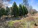 A view of the wooded green spaces that surround the property at 116 Arlen Park Pl, Holly Springs, NC 27540