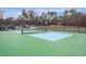 A well-maintained pickleball court with green and blue surfaces, ready for recreational play and outdoor activities at 133 Mohawk Dr, Louisburg, NC 27549