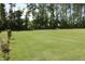 The level backyard is perfect for outdoor activities with a border of shade trees and lush green grass at 240 Northview Dr, Middlesex, NC 27557