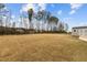 Large backyard features a storage shed with ramp and walkway and is framed by mature trees at 240 Northview Dr, Middlesex, NC 27557