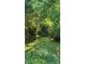 Lush backyard with mature trees and verdant ground cover, creating a private and serene outdoor space at 3308 Forest Mill Cir, Raleigh, NC 27616