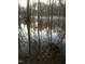 Serene pond surrounded by a forest, with reflections of trees in the water, evoking a sense of calm at 3308 Forest Mill Cir, Raleigh, NC 27616