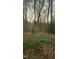 Wooded property featuring a mix of trees and ground cover, with sunlight filtering through the branches, perfect for building at 3308 Forest Mill Cir, Raleigh, NC 27616