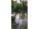 A scenic river view with a sandy bank and lush trees on the opposite side, perfect for nature lovers at 3308 Forest Mill Cir, Raleigh, NC 27616