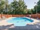 Sparkling in-ground pool surrounded by a lattice fence, lounge chairs, and mature trees at 3680 15-501 N, Pittsboro, NC 27312