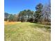 Large backyard with a wood fence and a beautiful view of the trees at 495 Cheves Rd # 495, Zebulon, NC 27597