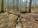A tranquil stream runs through a wooded area, creating a serene and natural environment for exploration at 76 Gentry Dr, Pittsboro, NC 27312