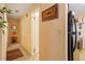 Clean hallway with neutral walls leading to rooms with a well-placed plant at 911 Williams Rd, Raleigh, NC 27610
