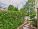 Lush backyard features a well-maintained hedge, stone pathway, and mature trees at 10836 Connally Ln, Raleigh, NC 27614