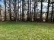A view of the backyard with a treeline and pond in the background at 115 Pecan Harvest Dr, Garner, NC 27529