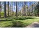 Lush green backyard features tall pine trees and a view from a patio to nearby woods at 11801 Strickland Rd, Raleigh, NC 27613