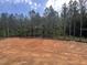 Sprawling backyard, offering privacy and natural beauty to the property at 170 Cherry Bark Dr, Youngsville, NC 27596