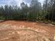 Backyard shows large cleared lot for landscaping with wooded perimeter at 170 Cherry Bark Dr, Youngsville, NC 27596