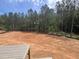 Expansive backyard with lush greenery offering privacy and room to play at 170 Cherry Bark Dr, Youngsville, NC 27596