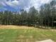 A green backyard features a line of trees along the edge of the property on a partly cloudy day at 170 Cherry Bark Dr, Youngsville, NC 27596