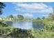 Scenic pond view surrounded by lush greenery under a blue sky with clouds at 190 Salem Village Dr, Fuquay Varina, NC 27526