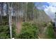 Backyard view overlooking natural landscape, bushes, and trees at 335 Bridgegate Dr, Cary, NC 27519