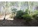 Backyard view with dense trees and bushes on a sunny day at 335 Bridgegate Dr, Cary, NC 27519