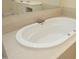 Bright bathroom features a luxurious soaking tub and elegant tile surround at 335 Bridgegate Dr, Cary, NC 27519